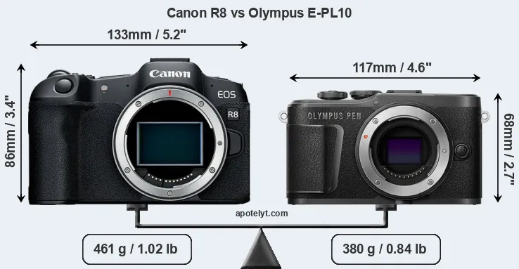 Size Canon R8 vs Olympus E-PL10