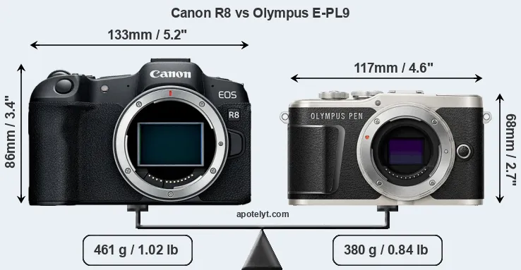 Size Canon R8 vs Olympus E-PL9