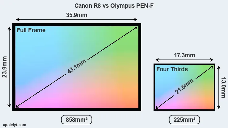 Canon R8 and Olympus PEN-F sensor measures