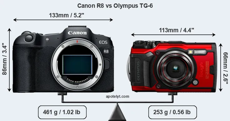 Size Canon R8 vs Olympus TG-6
