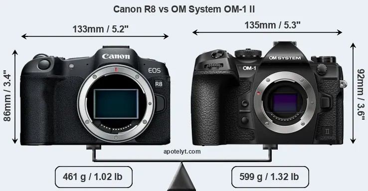 Size Canon R8 vs OM System OM-1 II