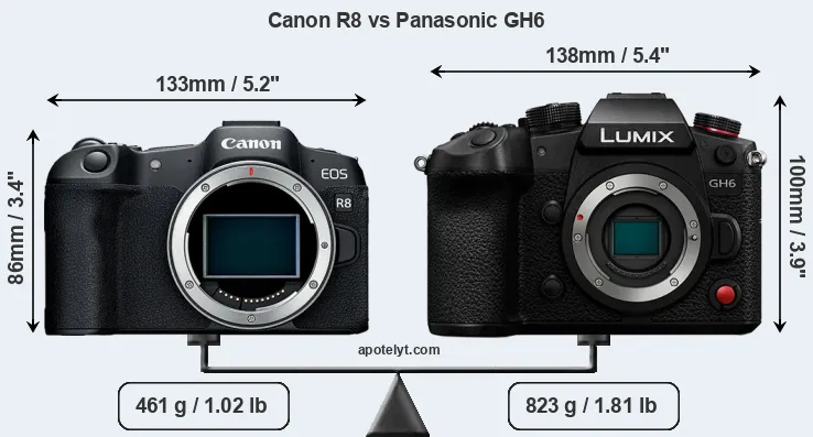 Size Canon R8 vs Panasonic GH6