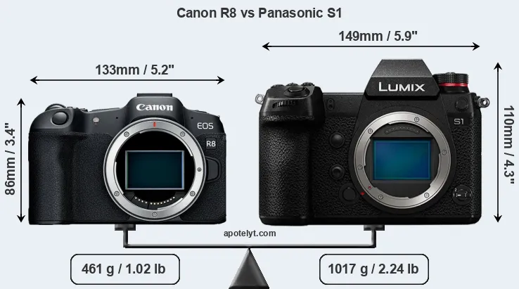 Size Canon R8 vs Panasonic S1