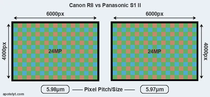 R8 versus S1 II MP