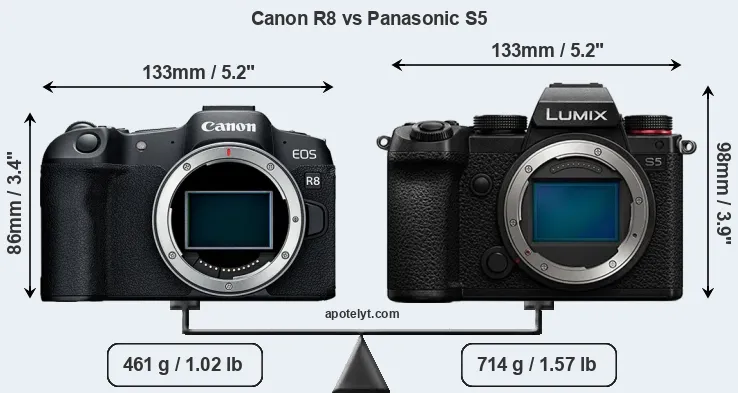 Size Canon R8 vs Panasonic S5