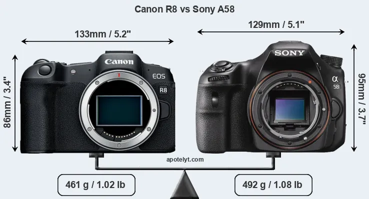 Size Canon R8 vs Sony A58