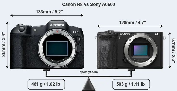 Size Canon R8 vs Sony A6600