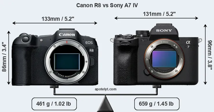 Size Canon R8 vs Sony A7 IV