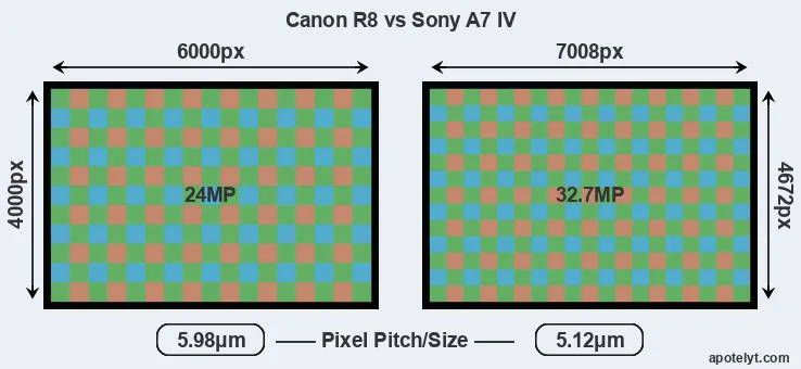 R8 versus A7 IV MP