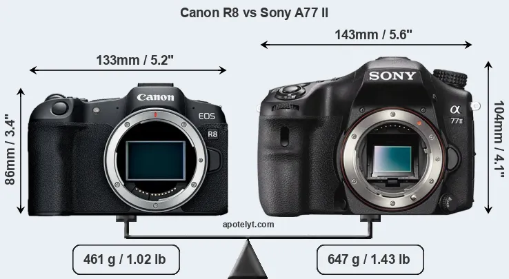 Size Canon R8 vs Sony A77 II