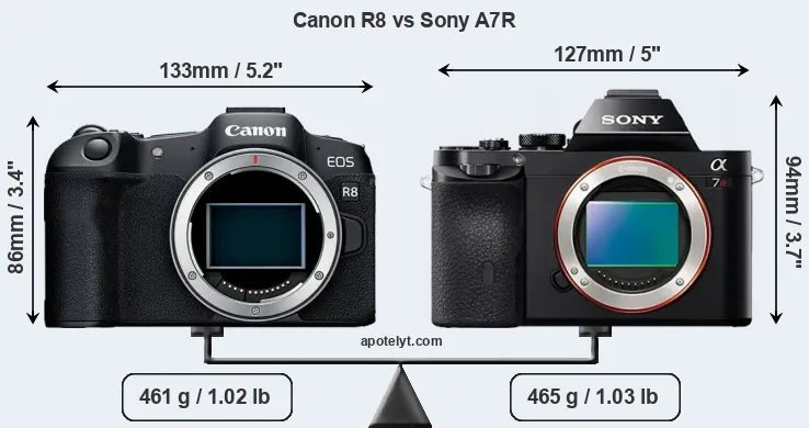Size Canon R8 vs Sony A7R