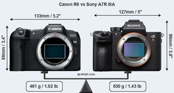 Size Canon R8 vs Sony A7R IIIA