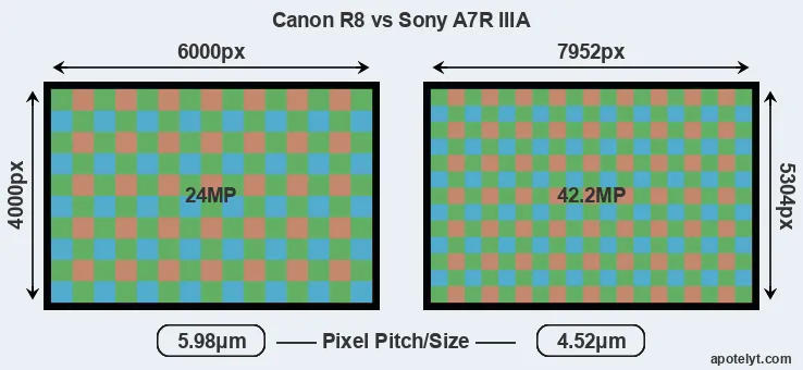 R8 versus A7R IIIA MP