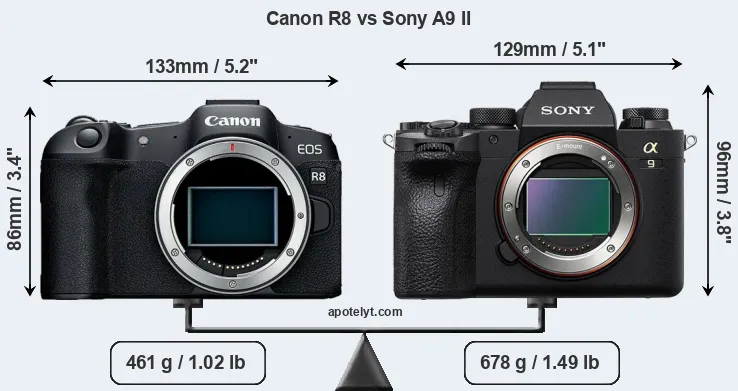 Size Canon R8 vs Sony A9 II