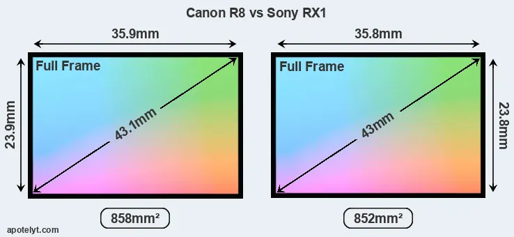 Canon R8 and Sony RX1 sensor measures