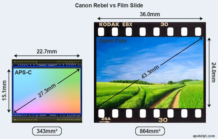 Canon Rebel sensor measures