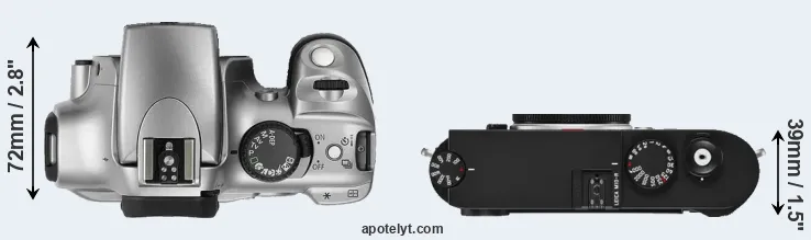 Compare Rebel versus M10-R top
