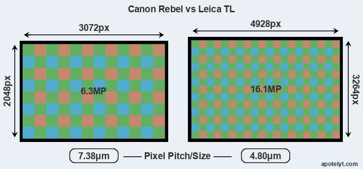 Rebel versus TL MP