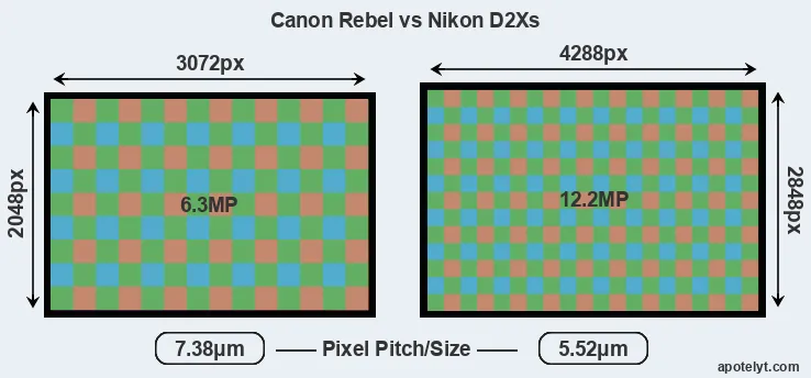 Rebel versus D2Xs MP