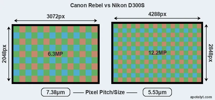 Rebel versus D300S MP