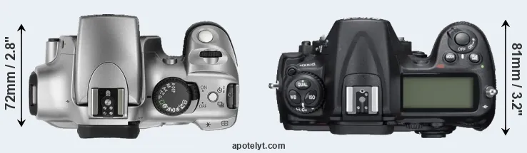 Compare Rebel versus D300S top