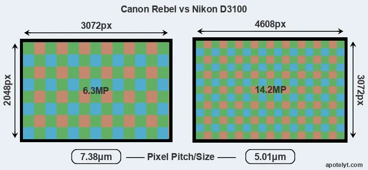 Rebel versus D3100 MP
