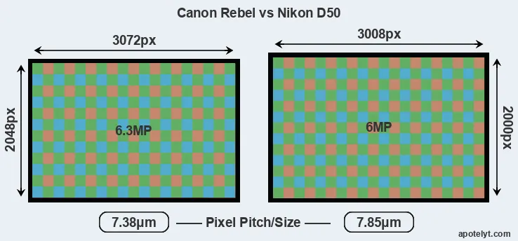 Rebel versus D50 MP