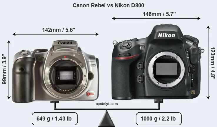 Size Canon Rebel vs Nikon D800