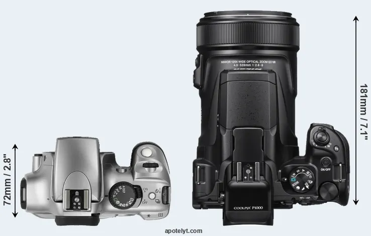 Compare Rebel versus P1000 top