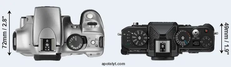 Compare Rebel versus Zf top