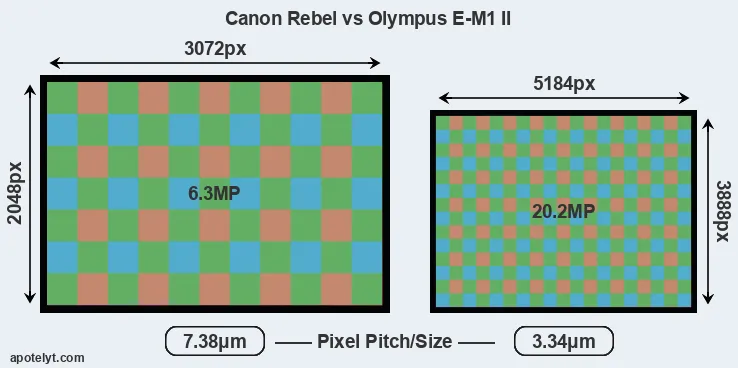 Rebel versus E-M1 II MP