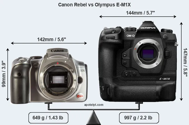 Size Canon Rebel vs Olympus E-M1X