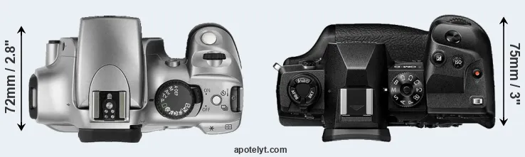 Compare Rebel versus E-M1X top