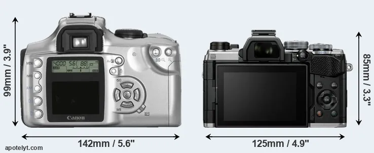 Comparison Rebel or OM-5 rear