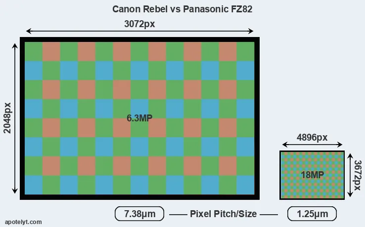 Rebel versus FZ82 MP
