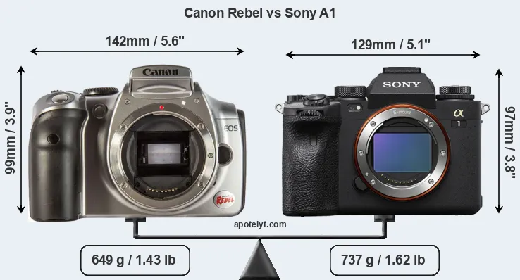 Size Canon Rebel vs Sony A1