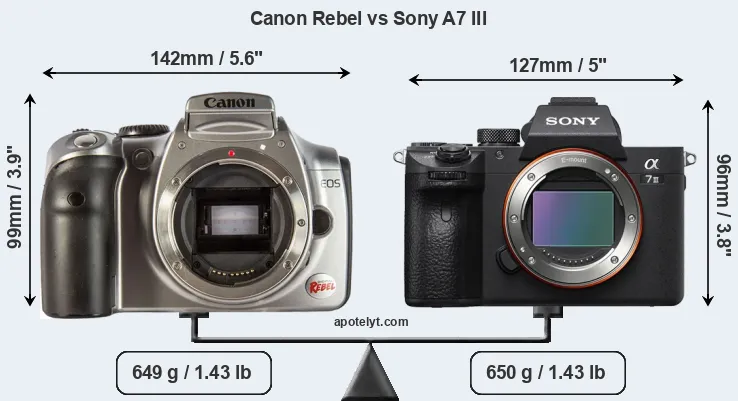 Size Canon Rebel vs Sony A7 III