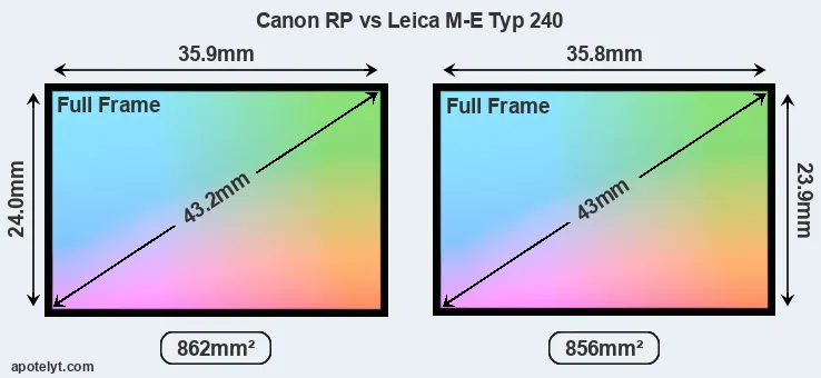 Canon RP and Leica M-E Typ 240 sensor measures