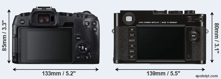 Comparison RP or M Typ 262 rear