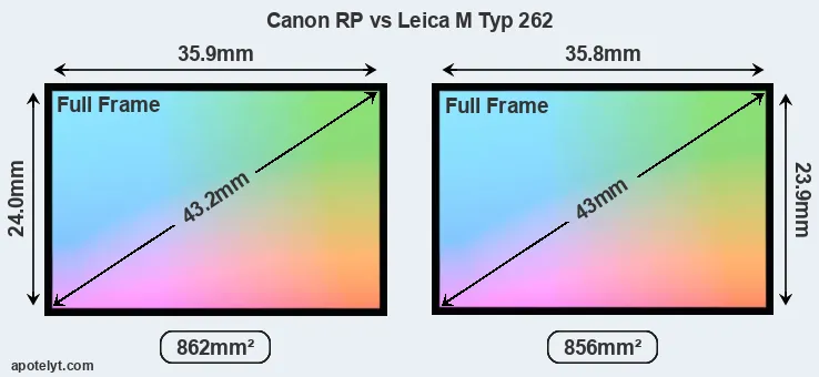 Canon RP and Leica M Typ 262 sensor measures