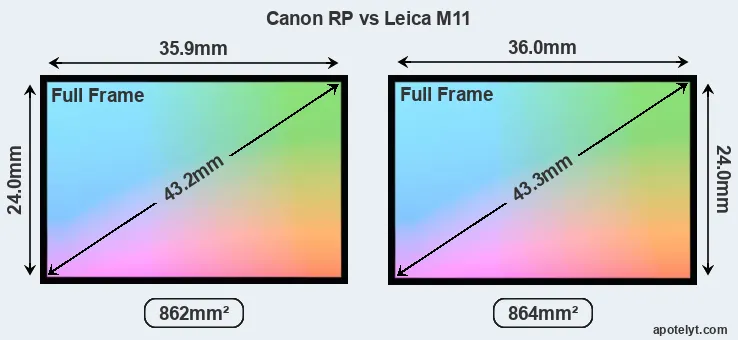 Canon RP and Leica M11 sensor measures