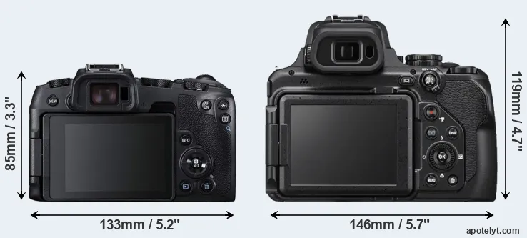 Comparison RP or P1000 rear