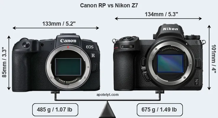 Size Canon RP vs Nikon Z7