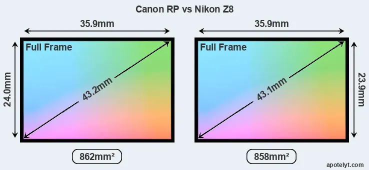 Canon RP and Nikon Z8 sensor measures