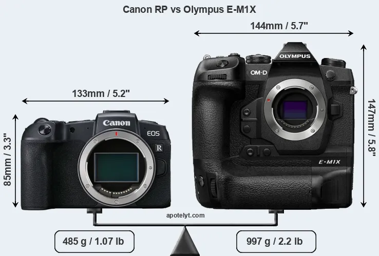 Size Canon RP vs Olympus E-M1X