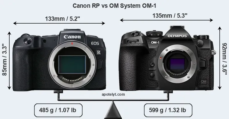 Size Canon RP vs OM System OM-1