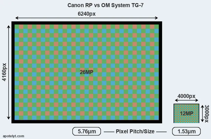 RP versus TG-7 MP