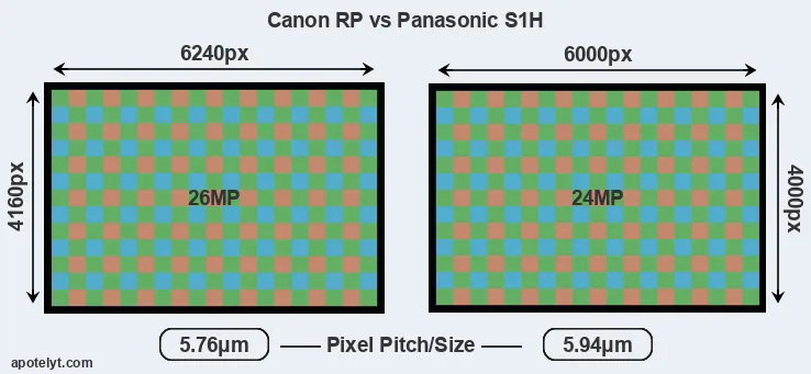 RP versus S1H MP