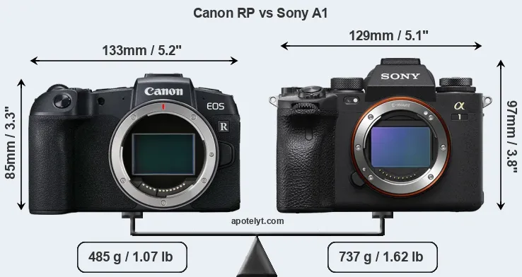 Size Canon RP vs Sony A1