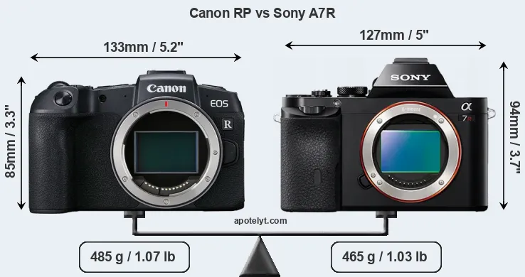 Size Canon RP vs Sony A7R